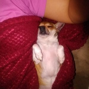 Meet your Posher, Lucinda